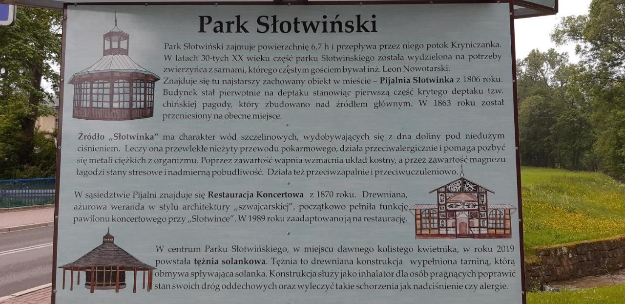 Apartament Zoya + Garaz Krynica-Zdrój Exterior foto
